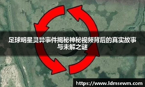熊猫体育官方网站
